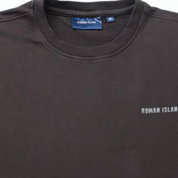 Grey  Plain T-Shirt