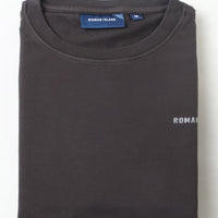 Grey  Plain T-Shirt