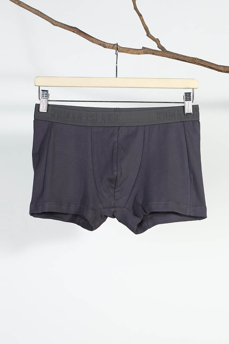 Grey Cotton Trunks Innerwear