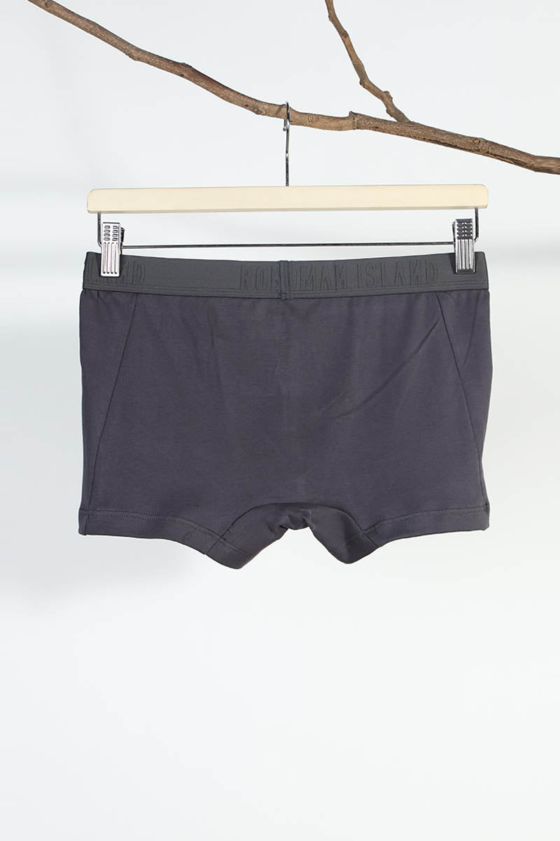 Grey Cotton Trunks Innerwear